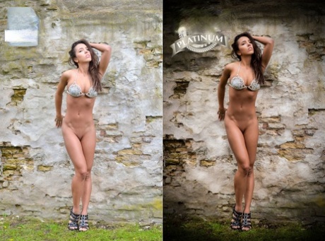 Beautiful brunette shows her lovely tits in a nude babes compilation