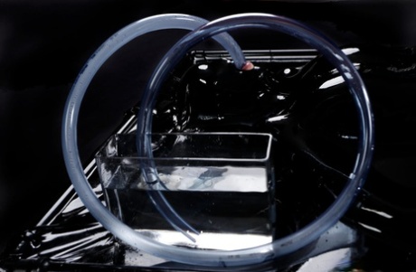 Collection of women modelling the latest in latex fashions