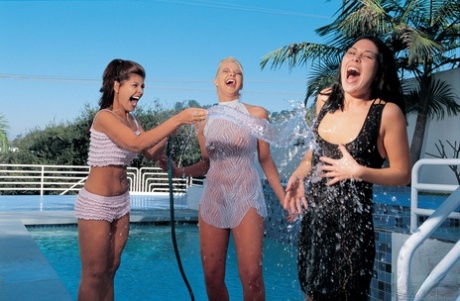 3 hot chicks share double ended dildos before hardcore heterosexual sex