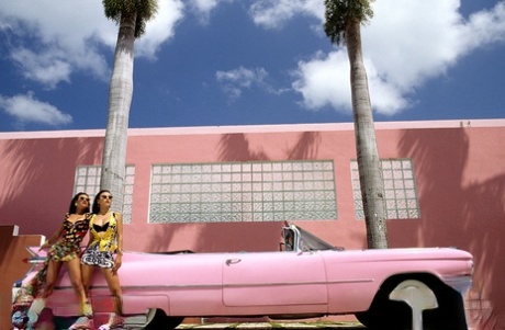 These Playboy stunners show off their beauty in various erotic photos